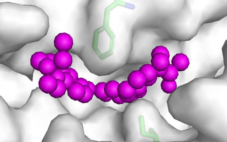 1938 P13K activator bound to P13Kalpha.