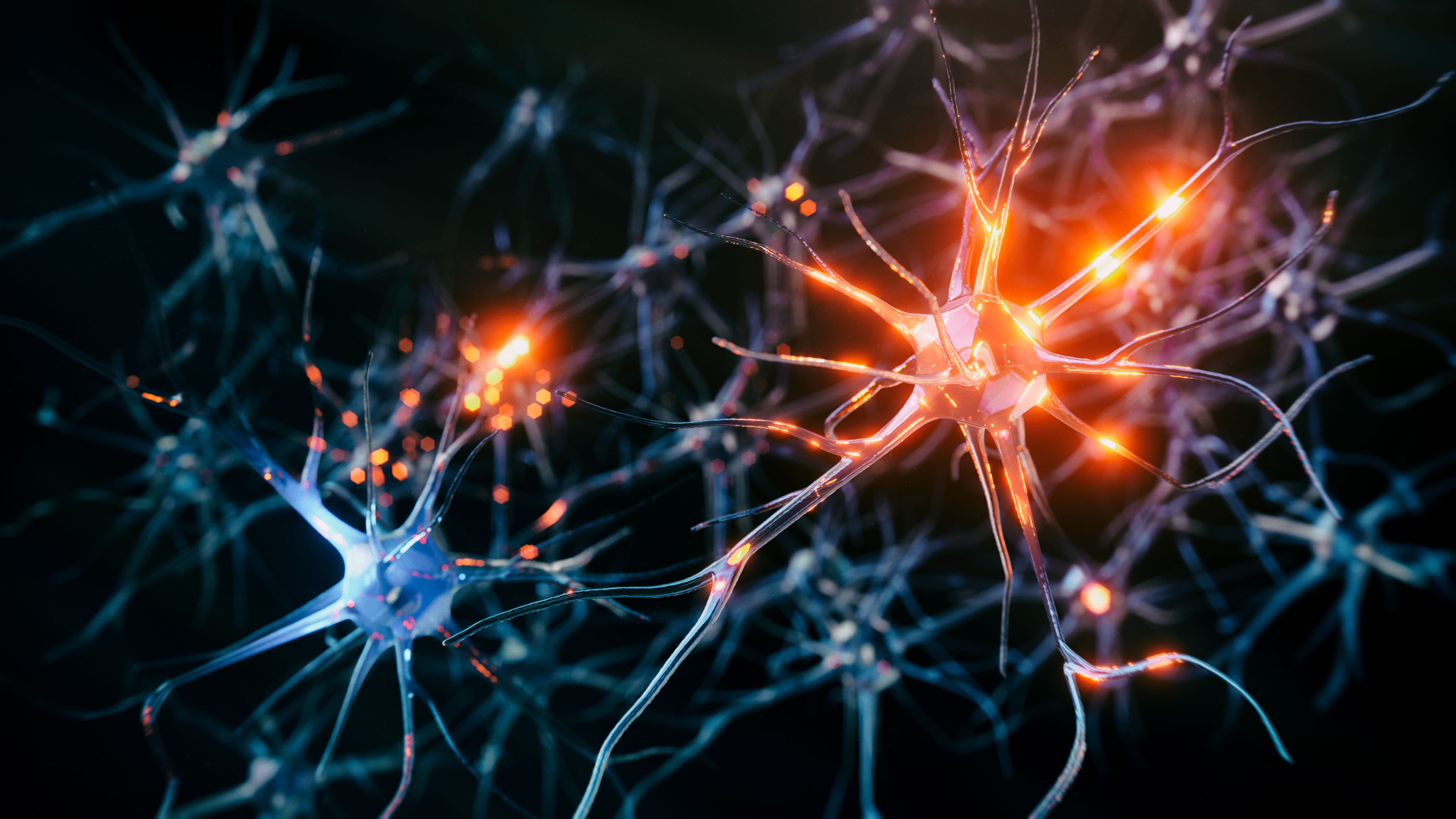 Interconnected neurons cells with electrical pulses.