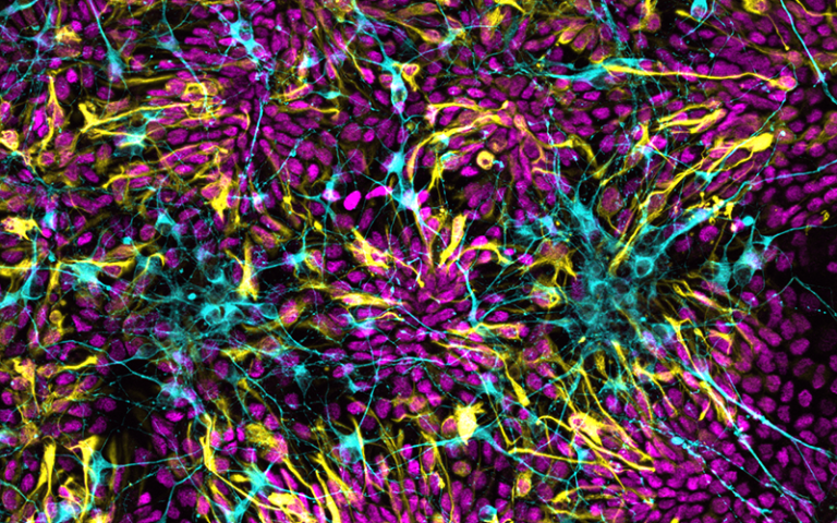 Illustration of a meteorite falling towards planet Earth.