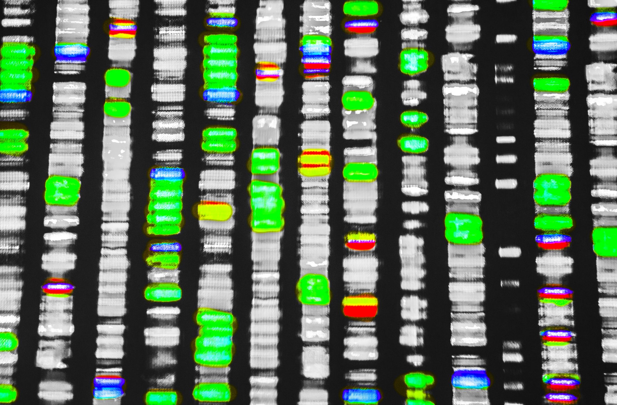 Graphic representation of the DNA sequence