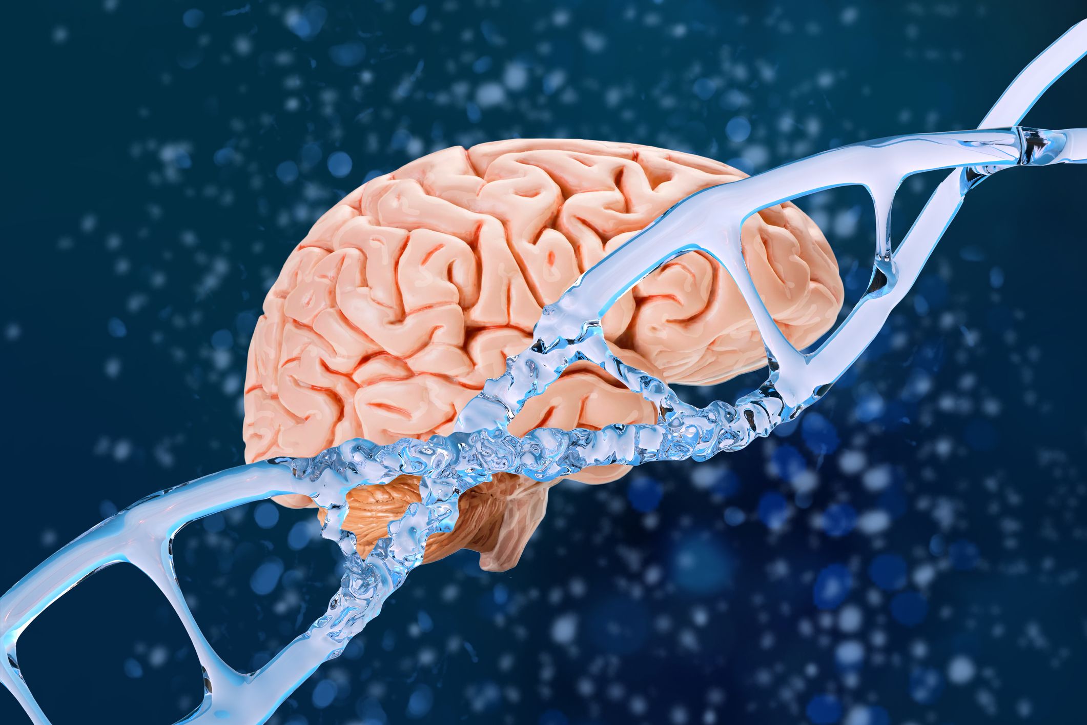 Human brain and DNA helix.