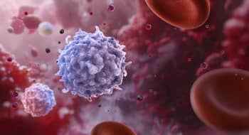 Illustration of human lymphocytes